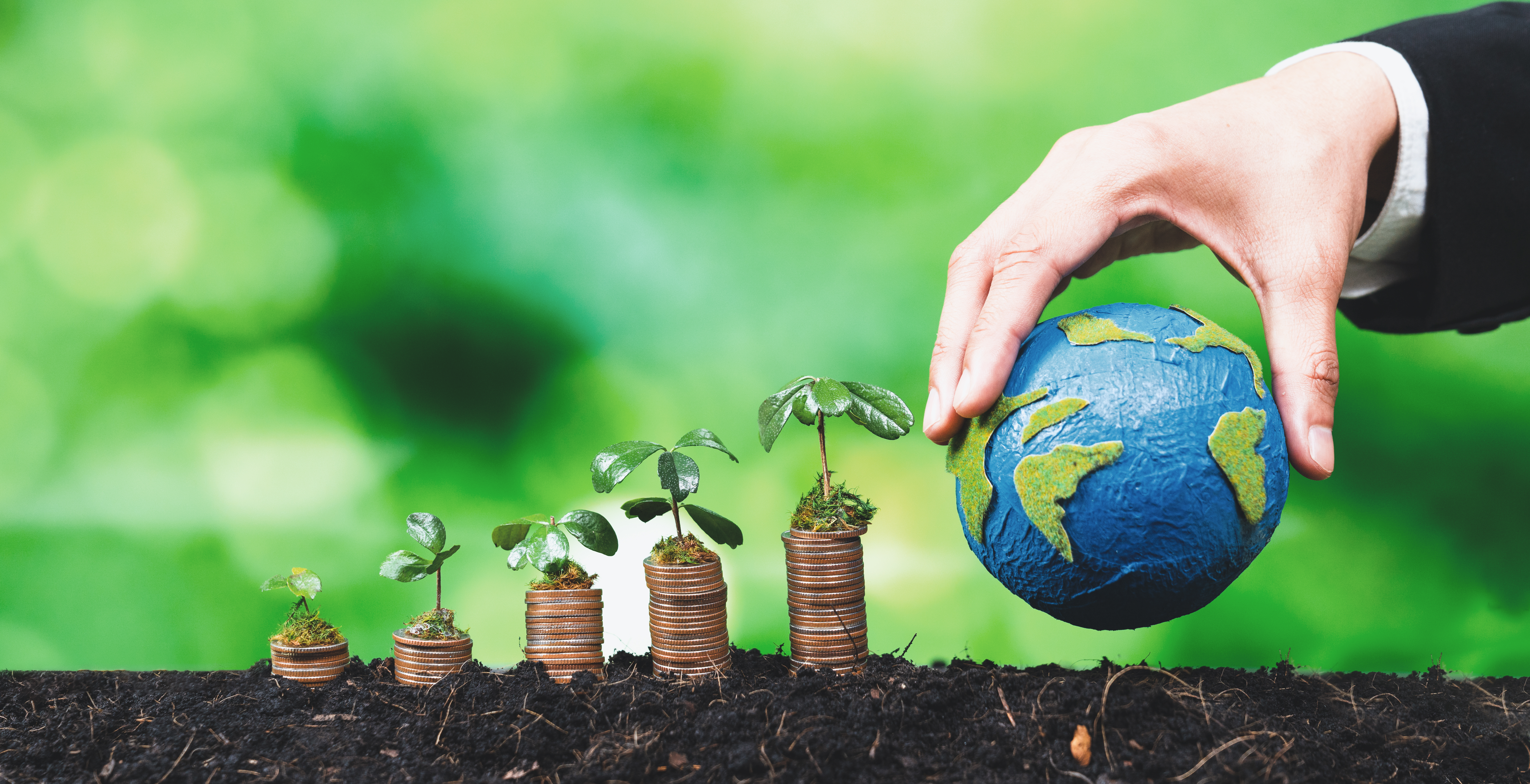 Casa Green: Investimento sostenibile tra risparmio energetico e valorizzazione immobiliare